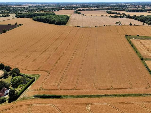 Land for sale in Debden Green, Uttlesford