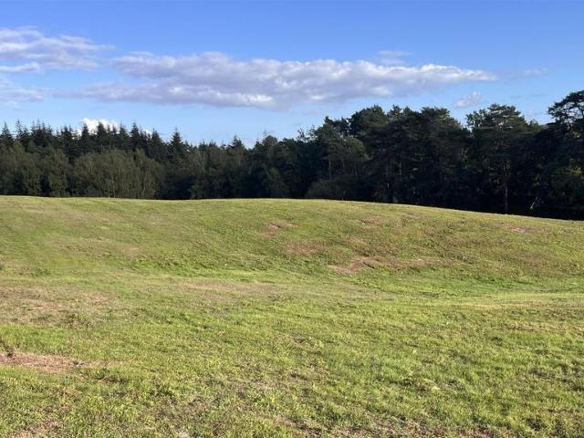 Land for sale in Liss Forest, East Hampshire