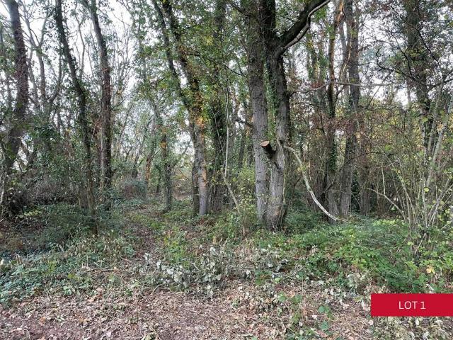 Land for sale in Kerswell, East Devon
