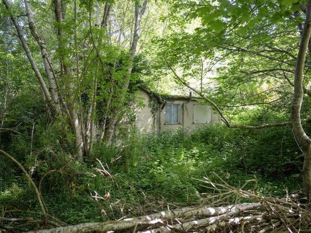 Commercial for sale in Scotland