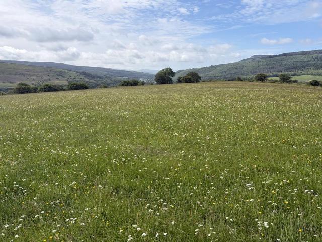 Land for sale in Ystradgynlais, Wales