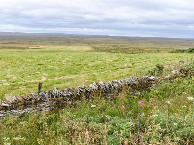 Land for sale in Latheron, Scotland