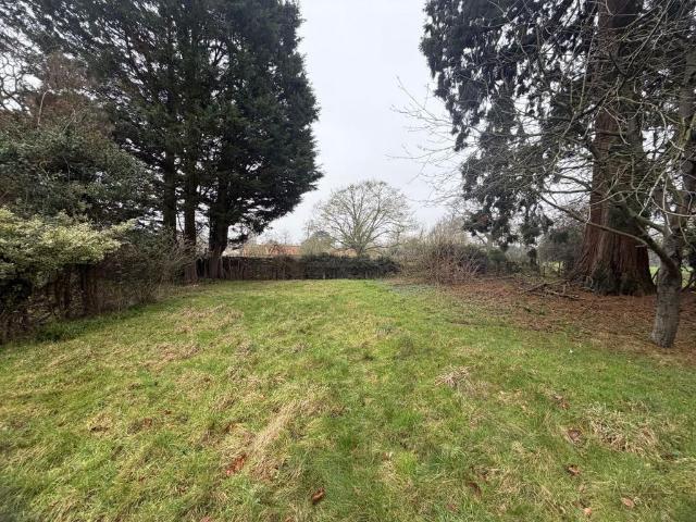 Land for sale in Diss, Burgh St Peter