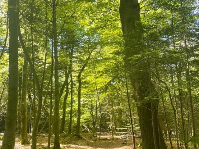Land for sale in Penwartha Coombe, Cornwall