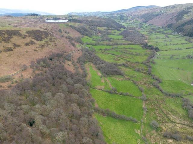 Land for sale in Llandderfel, Wales