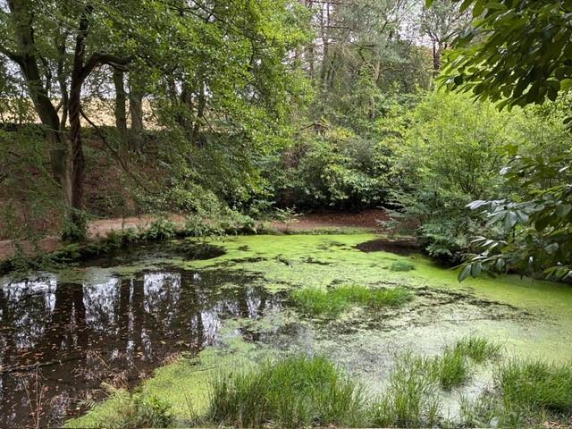 Land for sale in Upper Cumberworth, West Yorkshire