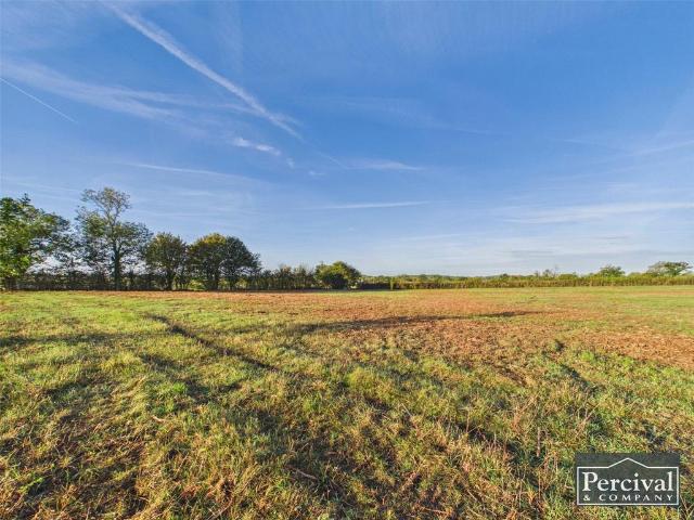 Land for sale in Belchamp St Paul, Braintree