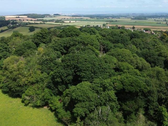 Land for sale in Somerset