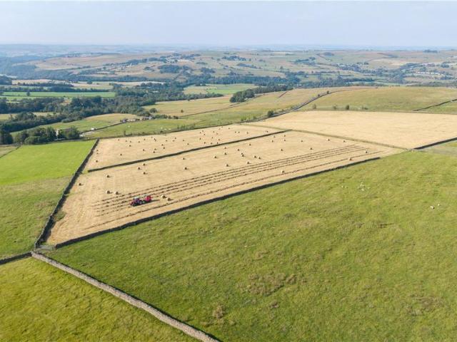 Land for sale in Allendale Town, Northumberland
