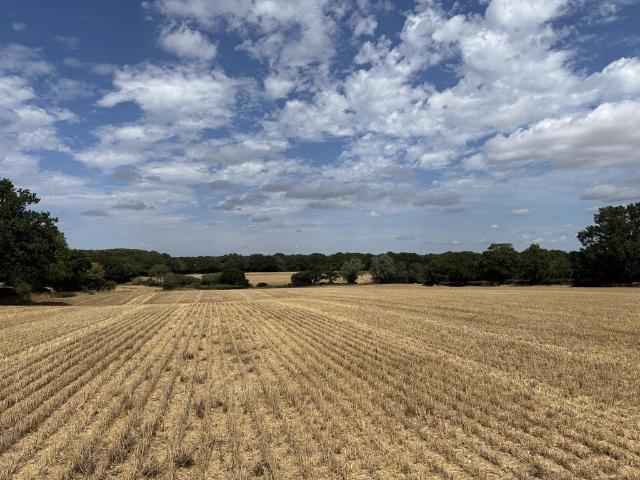 Land for sale in Bridgefield, Kent