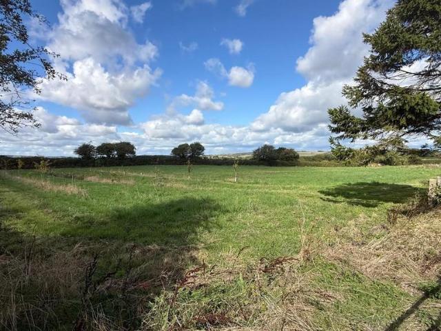 Land for sale in Winford, Newchurch