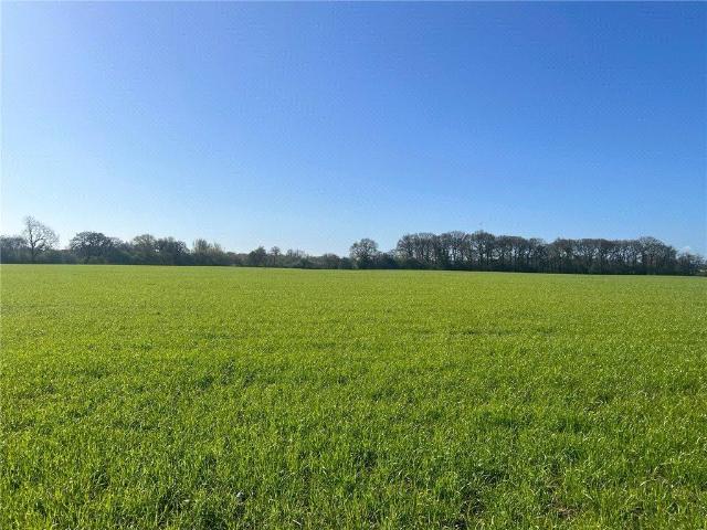 Land for sale in North Yorkshire