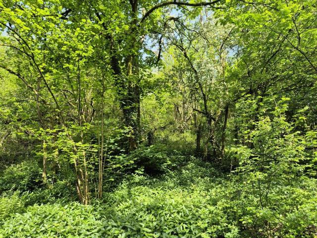 Land for sale in Kingsley Moor, Staffordshire