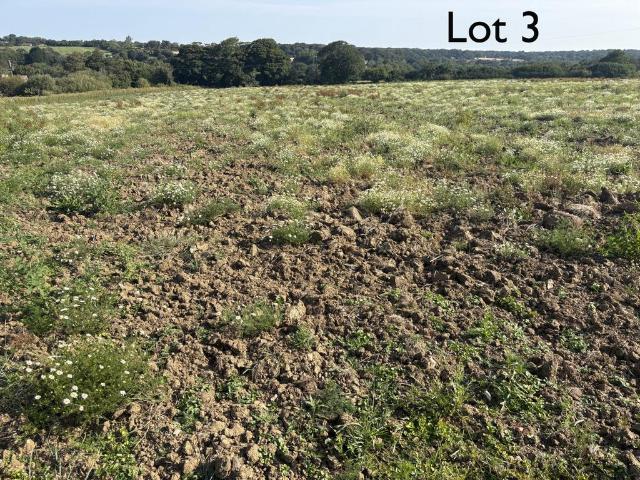 Land for sale in Leedstown, Cornwall