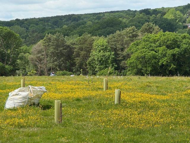 Commercial for sale in Sandown Park, Kent
