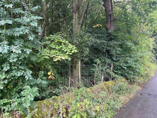 Land for sale in Wash, Charlesworth