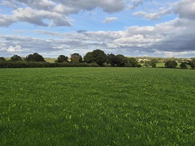 Land for sale in Froggatt, East Midlands