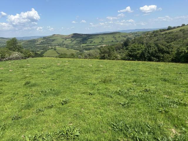 Land for sale in Llansadwrn, Wales