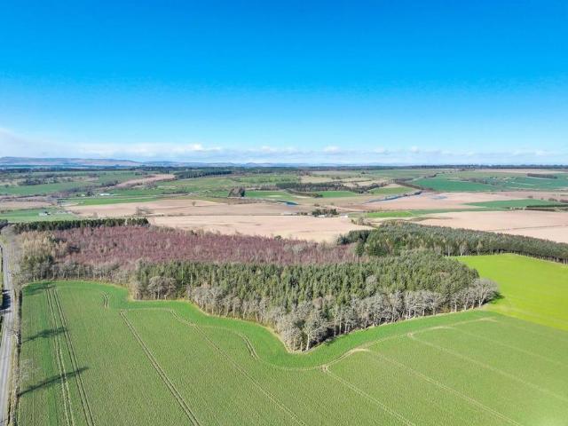 Land for sale in Dunning, Scotland