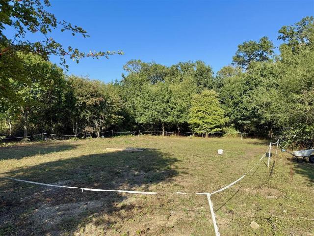 Land for sale in Burgh St Peter, Norfolk