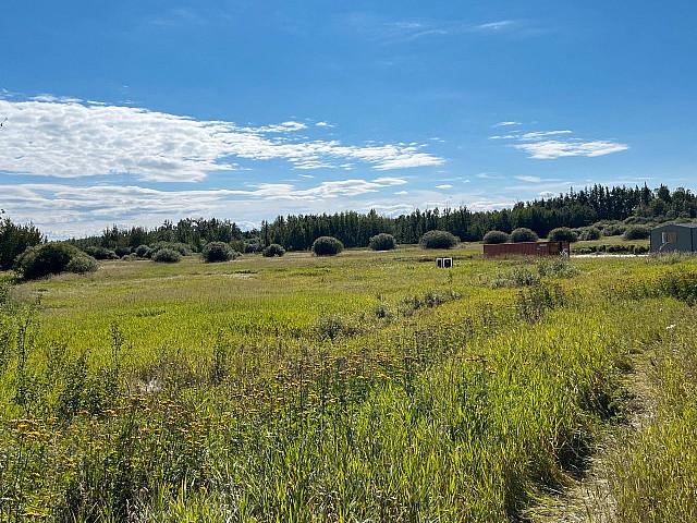 Land for sale in Wedgewood, Alberta