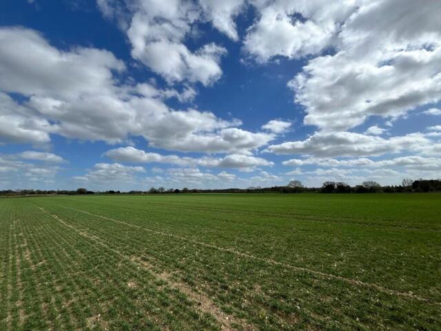 Land for sale in East Tuddenham, Norfolk