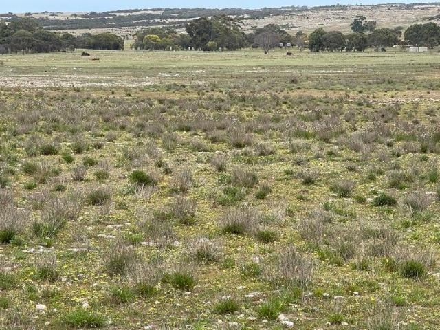 Land for sale in Bramfield, South Australia