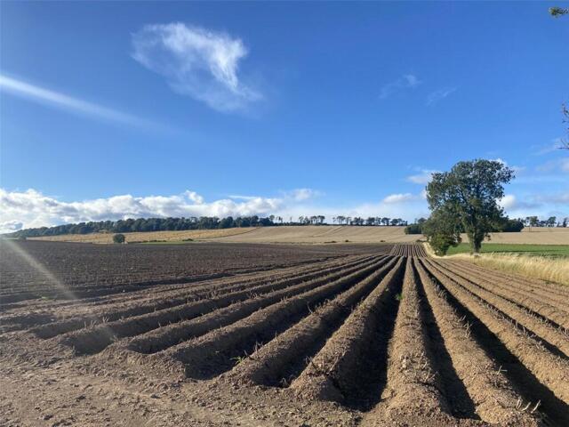 Land for sale in Brechin