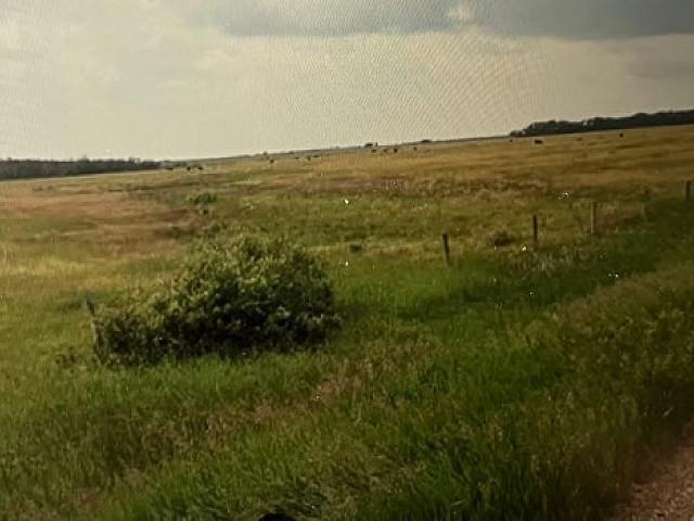 Land for sale in Stettler, Alberta