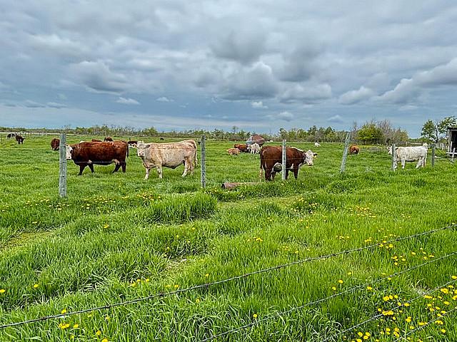 Land for sale in Manitoba
