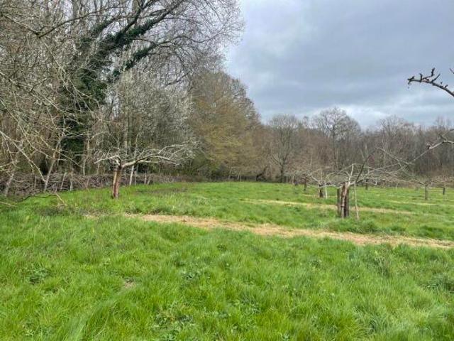 Property for sale in Sandown Park, Kent