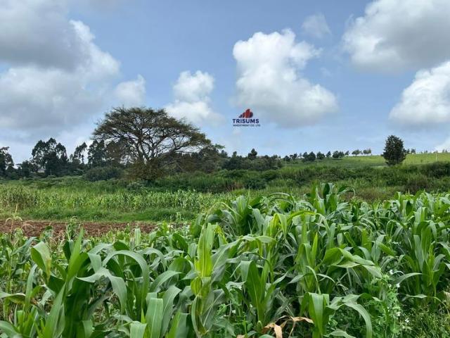 Land for sale in Limuru, Tigoni Land for sale in Limuru, Tigoni