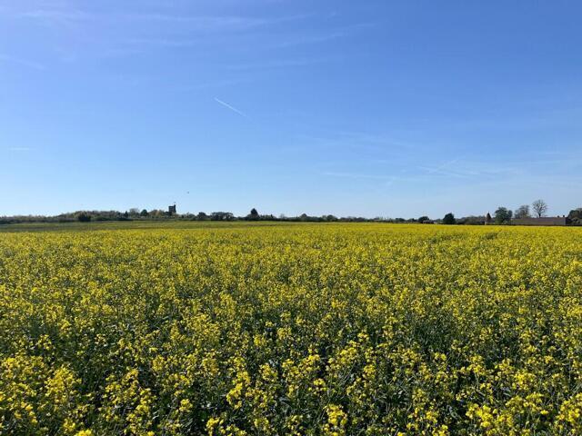 Land for sale in Hamerton, Kent