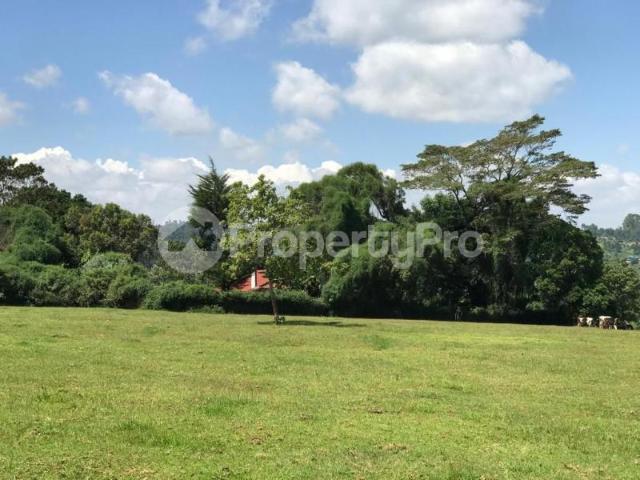 Land for sale in Kiambu Town, Kiambaa