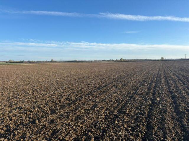 Land for sale in Ingleby, Lincolnshire