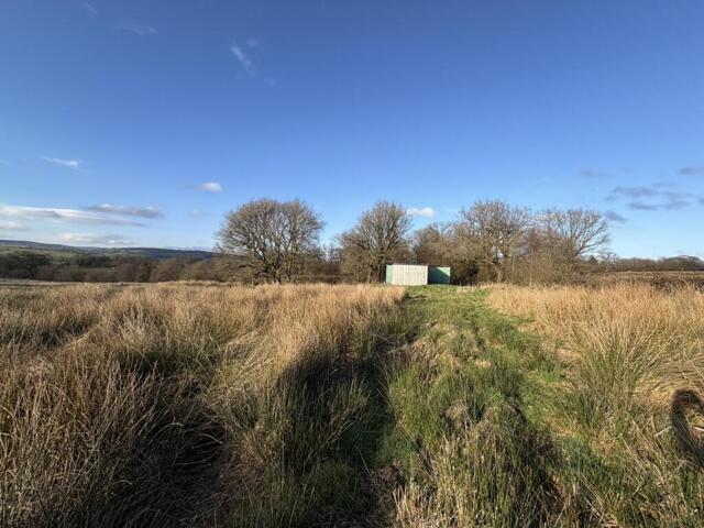 Land for sale in Talley, Wales