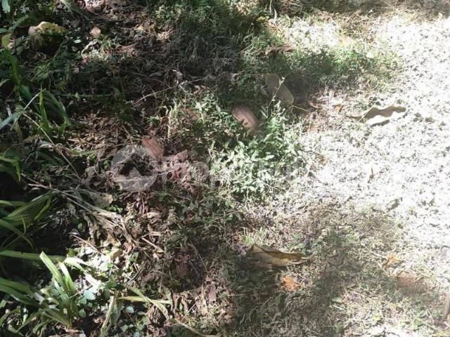 Land for sale in Kabete