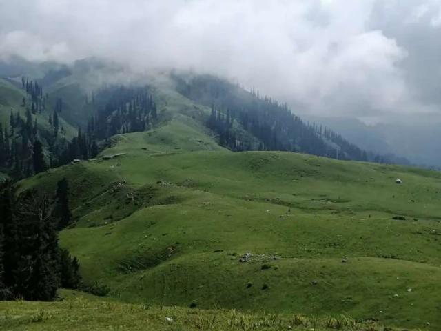 Land for sale in Mansehra, North West Frontier Province