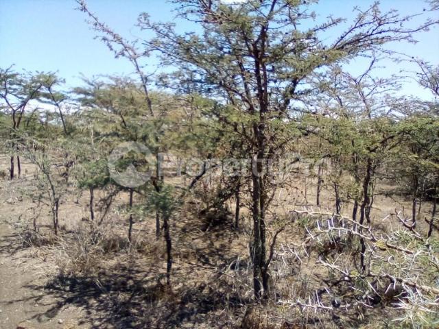 Land for sale in Laikipia