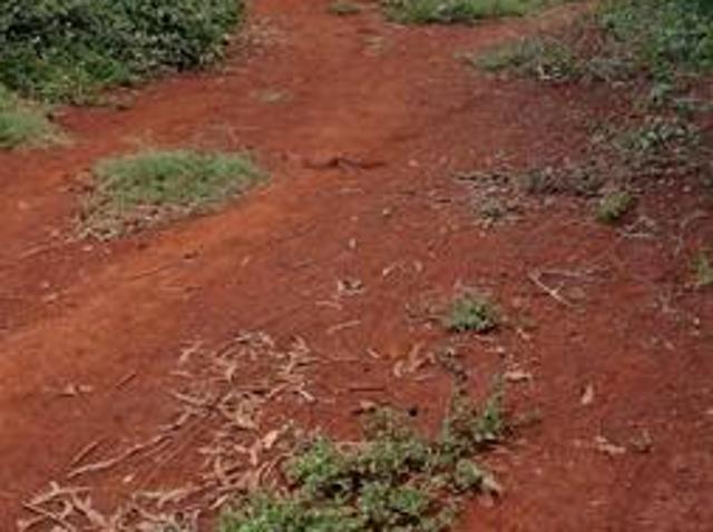 Land for sale in Laikipia