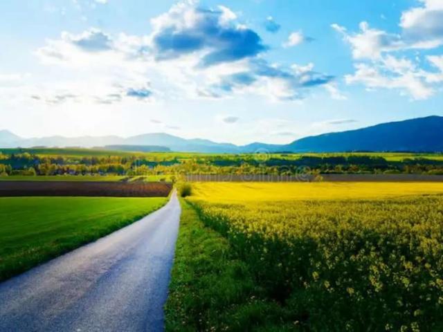 Land for sale in Islamabad