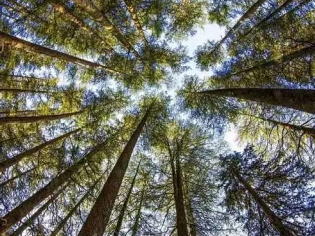 Land for sale in Islamabad
