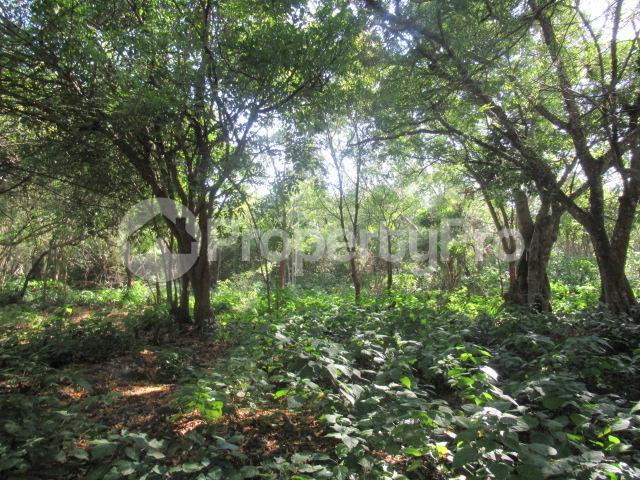 Land for sale in Mombasa Road, Mombasa