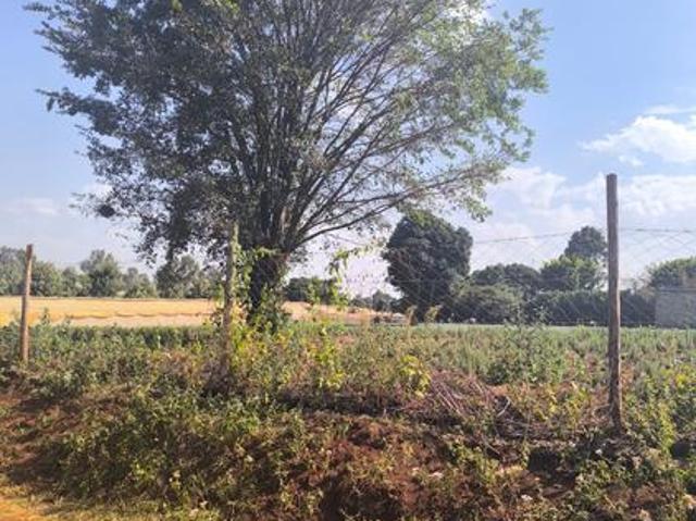 Land for sale