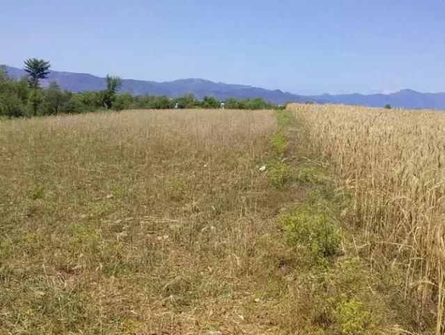 Land for sale in Haripur, North West Frontier Province