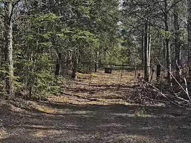 Land for sale in Hurkett, Ontario