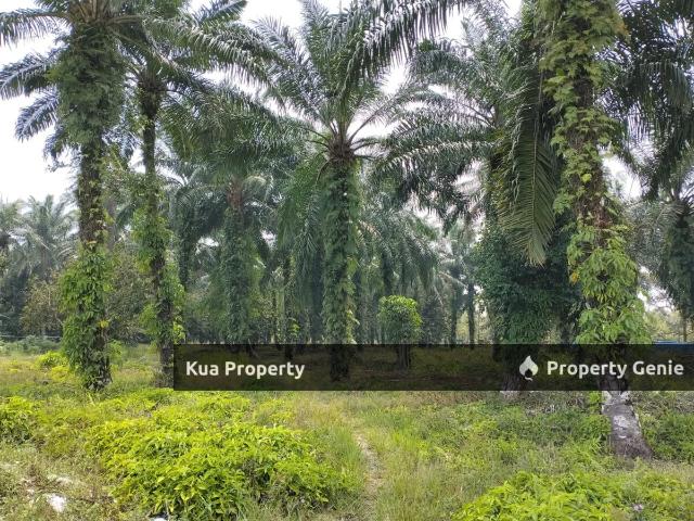 Property for sale in Pekan Nanas