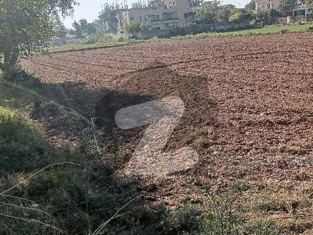 Land for rent in Islamabad, Islamabad Capital Territory