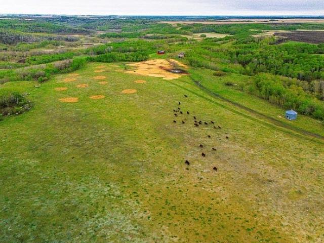 Land for sale in Binscarth, Manitoba