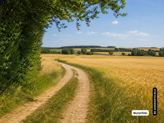 Landwirtschaft kaufen in Reifenthal, Pettendorf